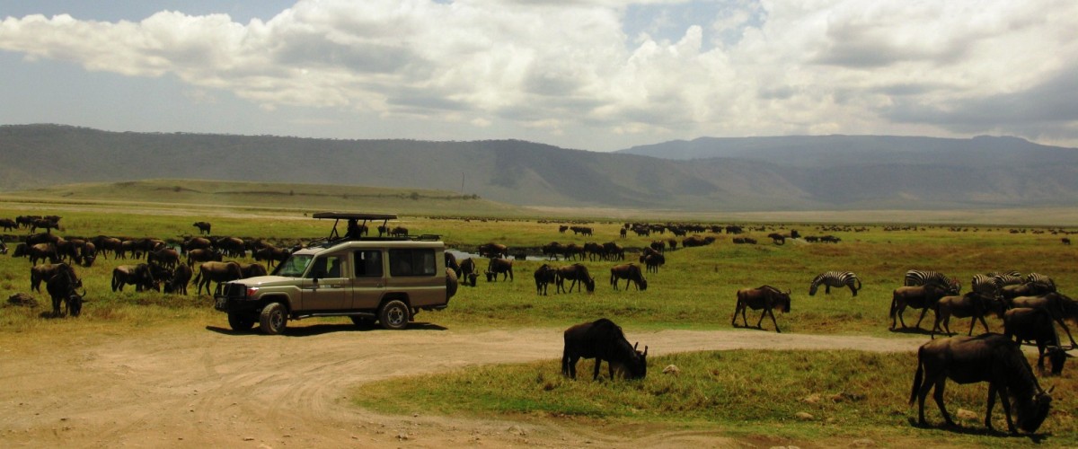 Zazu Safari Ventures