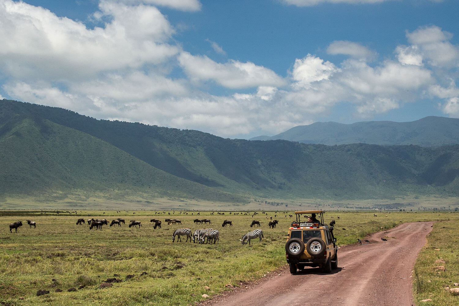 Zazu Safari Ventures