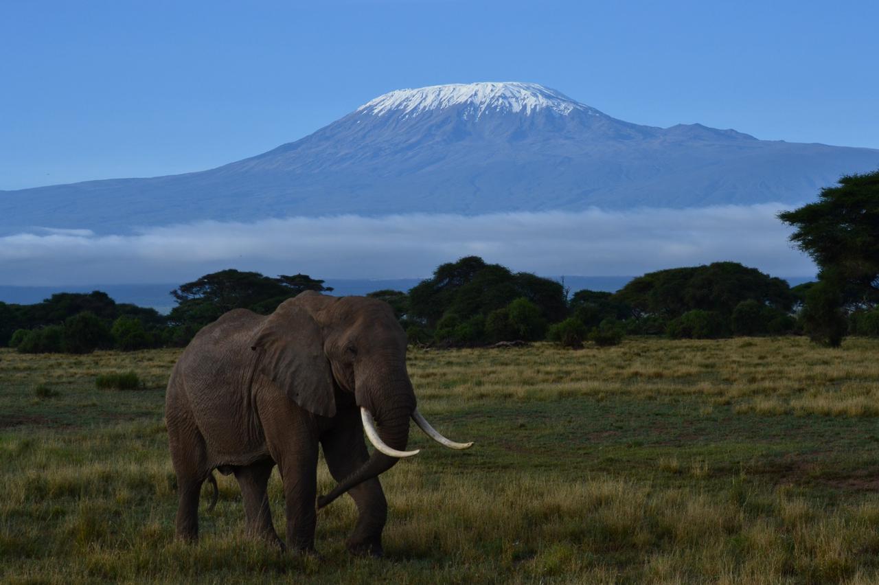 Day Tour To Amboseli National Park Zazu Safari Ventures