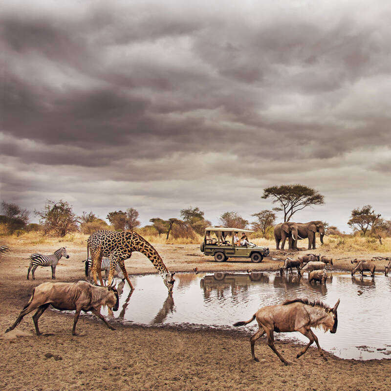 Zazu Safari Ventures
