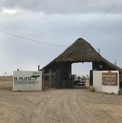 Zazu Safari Ventures