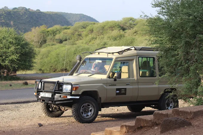 Zazu Safari Ventures