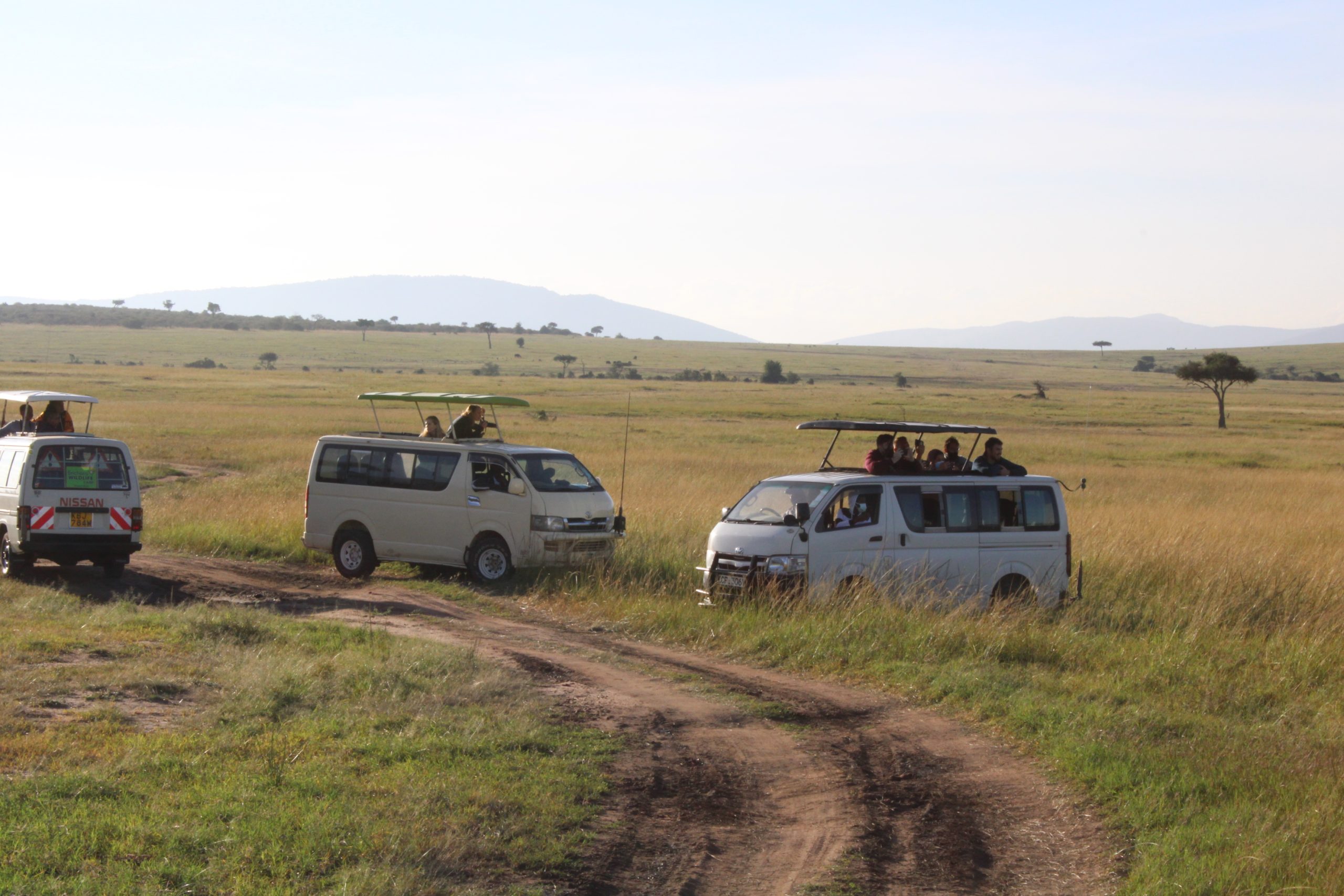 4 Days 3 Nights Masai Mara And Lake Nakuru Park Group Joining Safari In A Safari Van Without