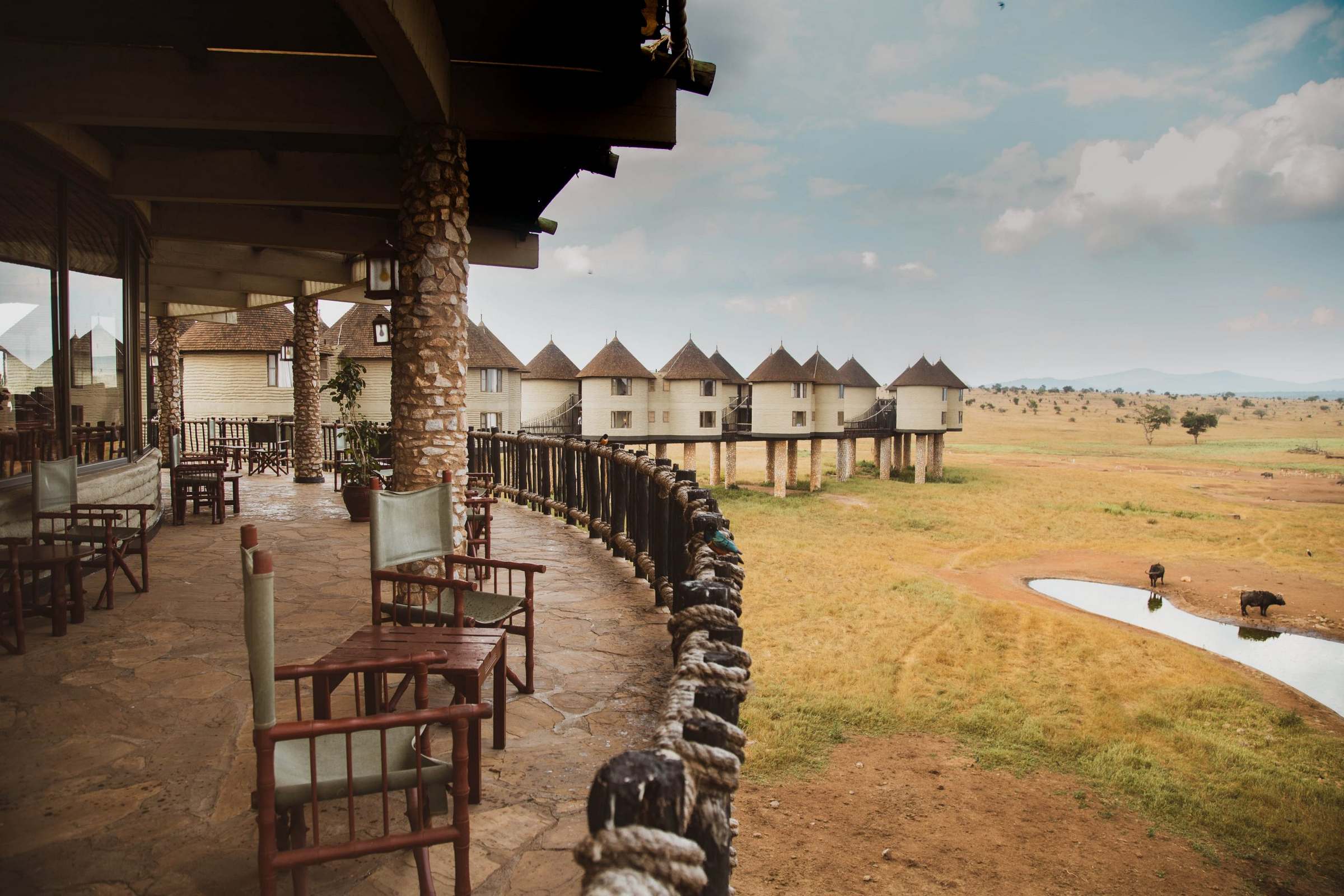 Zazu Safari Ventures