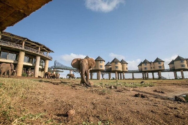 Zazu Safari Ventures